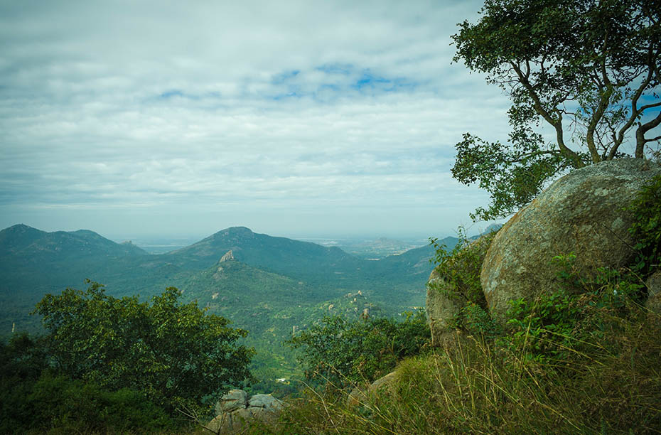 Hills of the elusive Bulbul